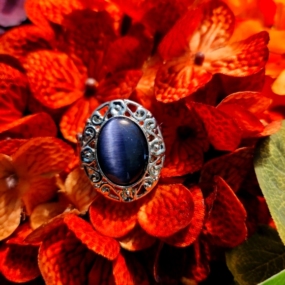 Jewelry - NWOT - Costume Ring 💙